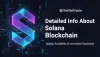 Detailed Info About Solana Blockchain