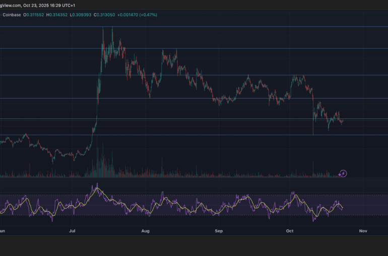 Stellar Edges Lower 0.4% to $0.3123 as Partnership News Surfaces